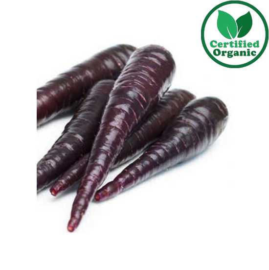 Organic Carrot Purple 10KG Box