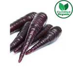 Organic Carrot Purple 10KG Box