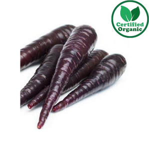 Organic Carrot Purple 10KG Box