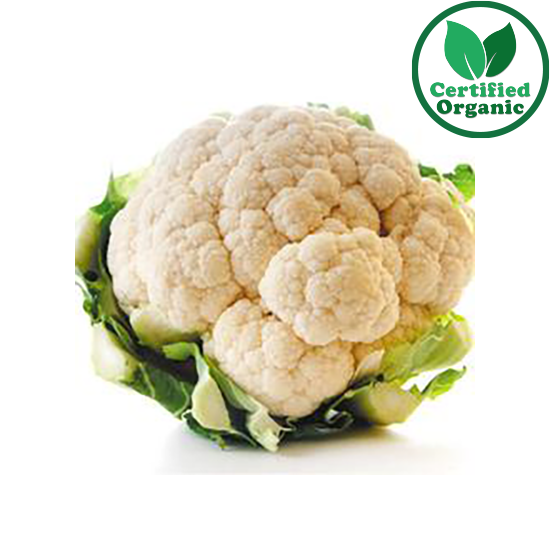 Organic Cauliflower White 10 - 12EA [ 10 - 12each per Box ] $5.58 each