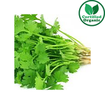 Organic Herb Coriander 
