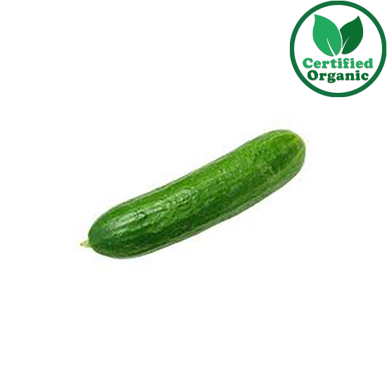 Organic Cucumber Lebanese 10kg