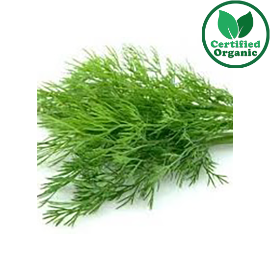 Organic Herb Dill Bunch