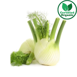 Organic Fennel EACH