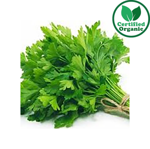Organic Herb Flat parsley