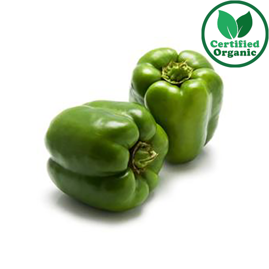 Organic Cap Green Premium 5kg [ 5 kg per Box ]