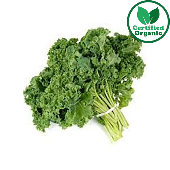 Organic Kale Green Bunch