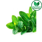 Organic Herb Mint