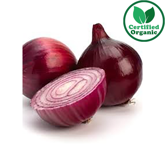 Organic Onions Red 10kg