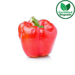 Organic Cap Red Premium 5kg [ 5 kg per Box ]