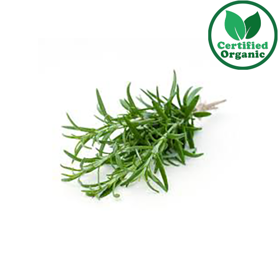 Organic Herb Mint