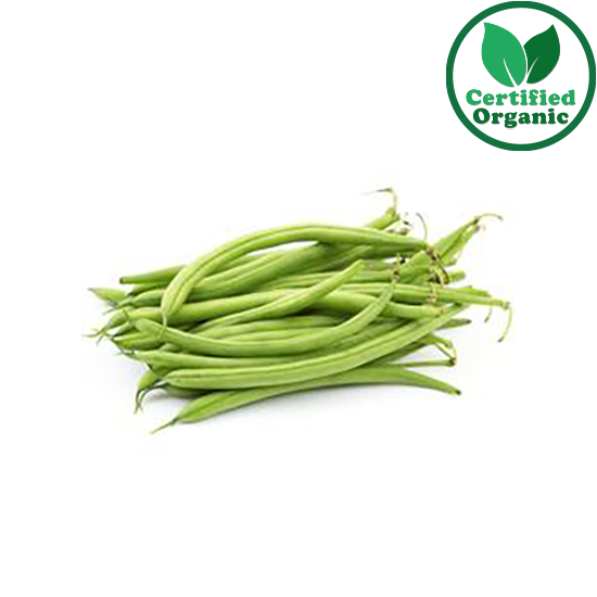 Organic BEANS GREEN (5KG) PREMIUM