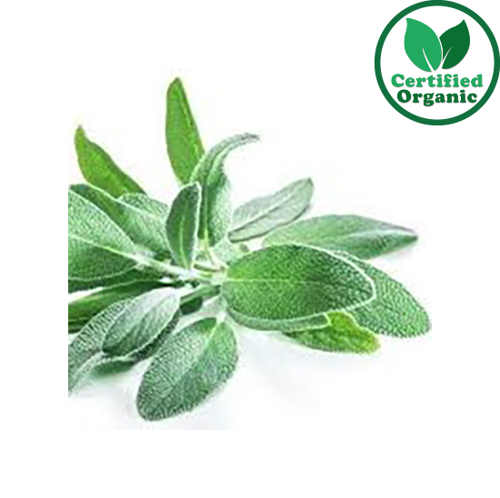 Organic Herb Sage