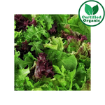 Organic PUNNET Baby Salad Mix 120g